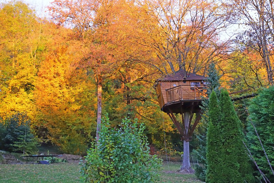 cabane-dans-arbres-proche-paris
