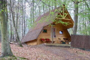 cabane-dans-foret-proche-paris-hotel-insolite