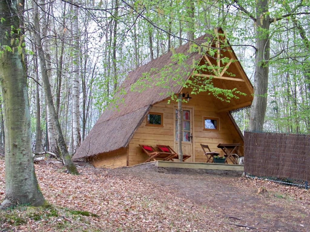 cabane-dans-foret-proche-paris-hotel-insolite