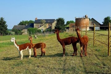 gite-ferme-animaux-enfants-moins-2-h-paris