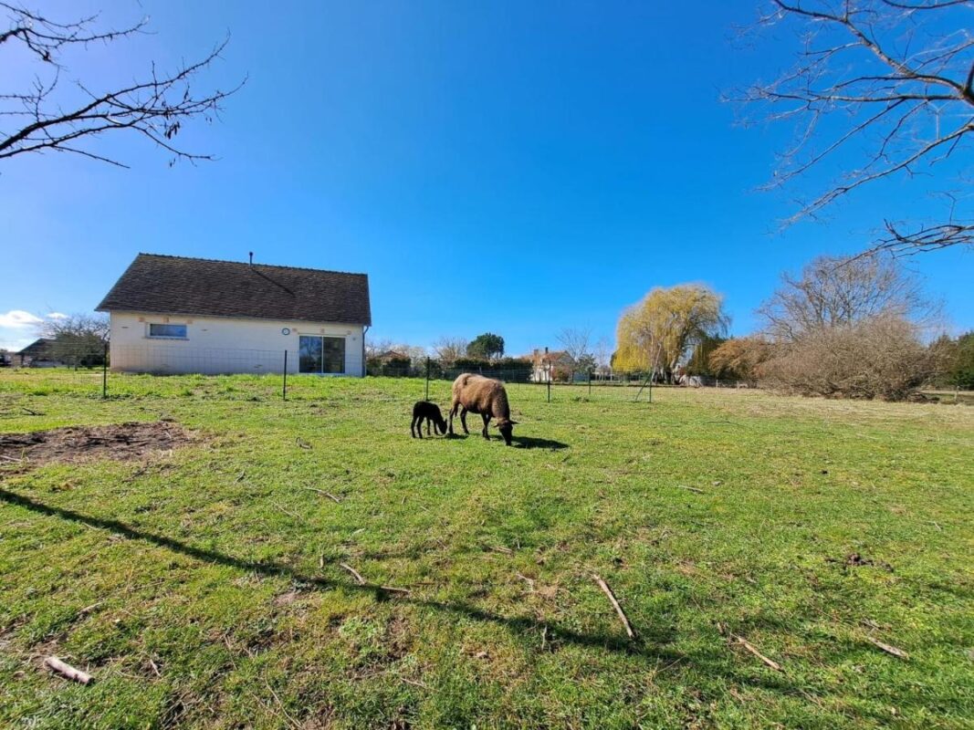 hotel-proche-zoo-beauval-maison-gite-groupe