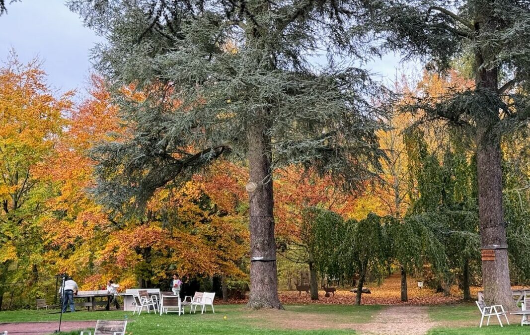 Hôtel tout COMPRIS à 40 minutes de Paris : Demeures de Campagne, Parc du Coudray