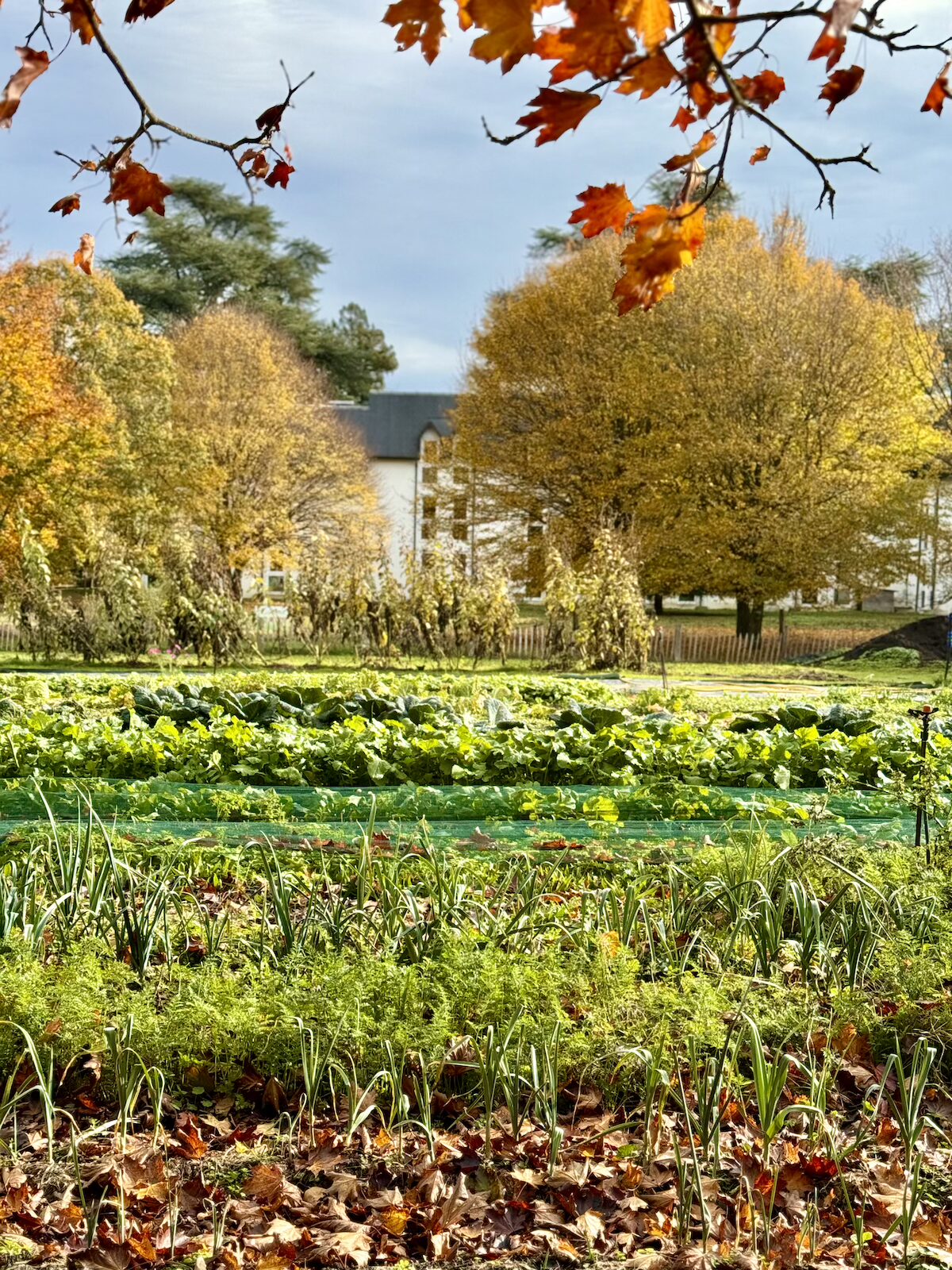 demeures-campagnes-parc-du-coudray-hotels-tout-inclus-2h-paris-kids-club