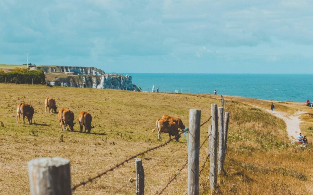 Où passer un week-end en Normandie ?