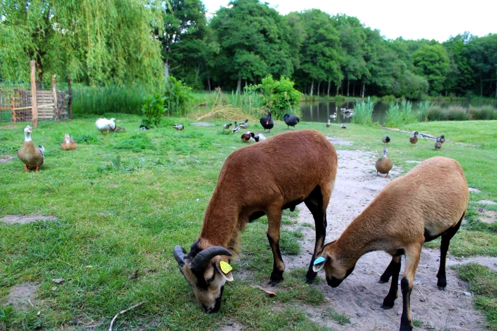 hotels-kids-friendly-2h-paris-ferme-poulardieres
