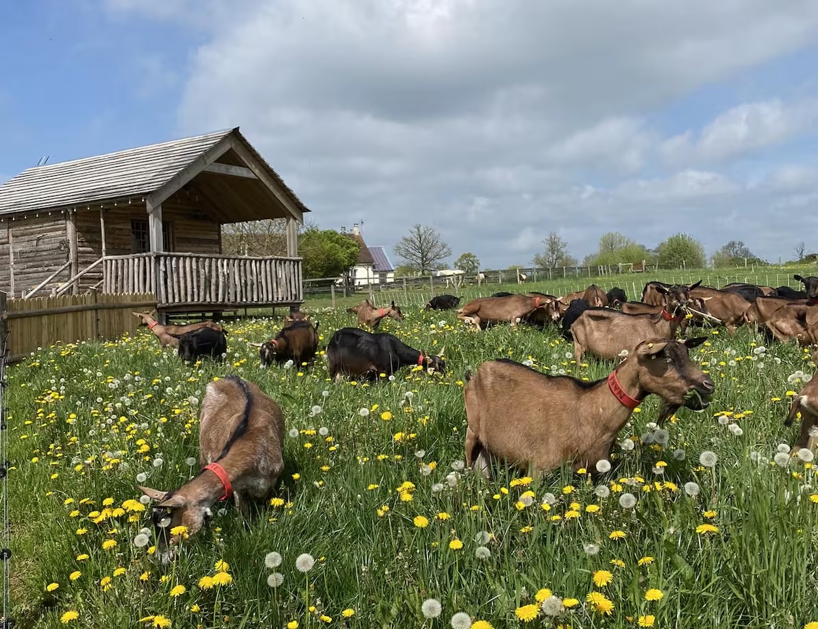 week-end-ferme-proche-paris-animaux week-end-ferme-proche-paris-animaux