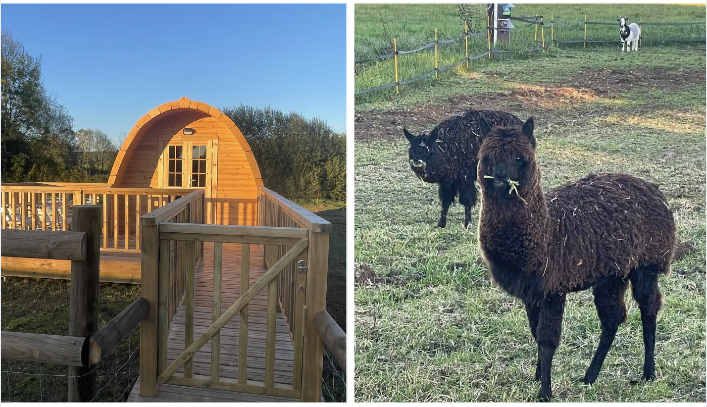 nuit-ferme-proche-paris-animaux