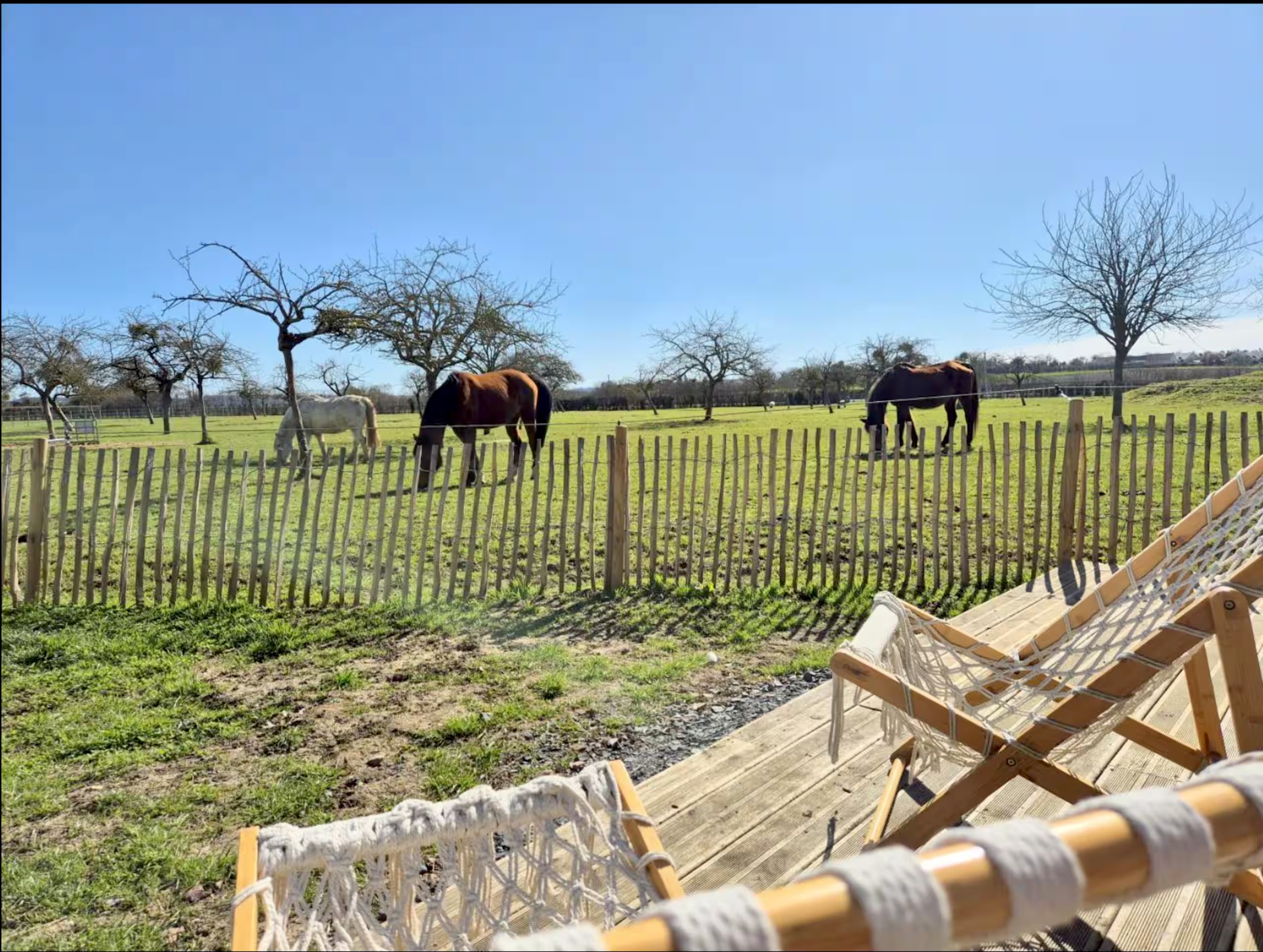 gite-ferme-animaux-autour-paris-normandie