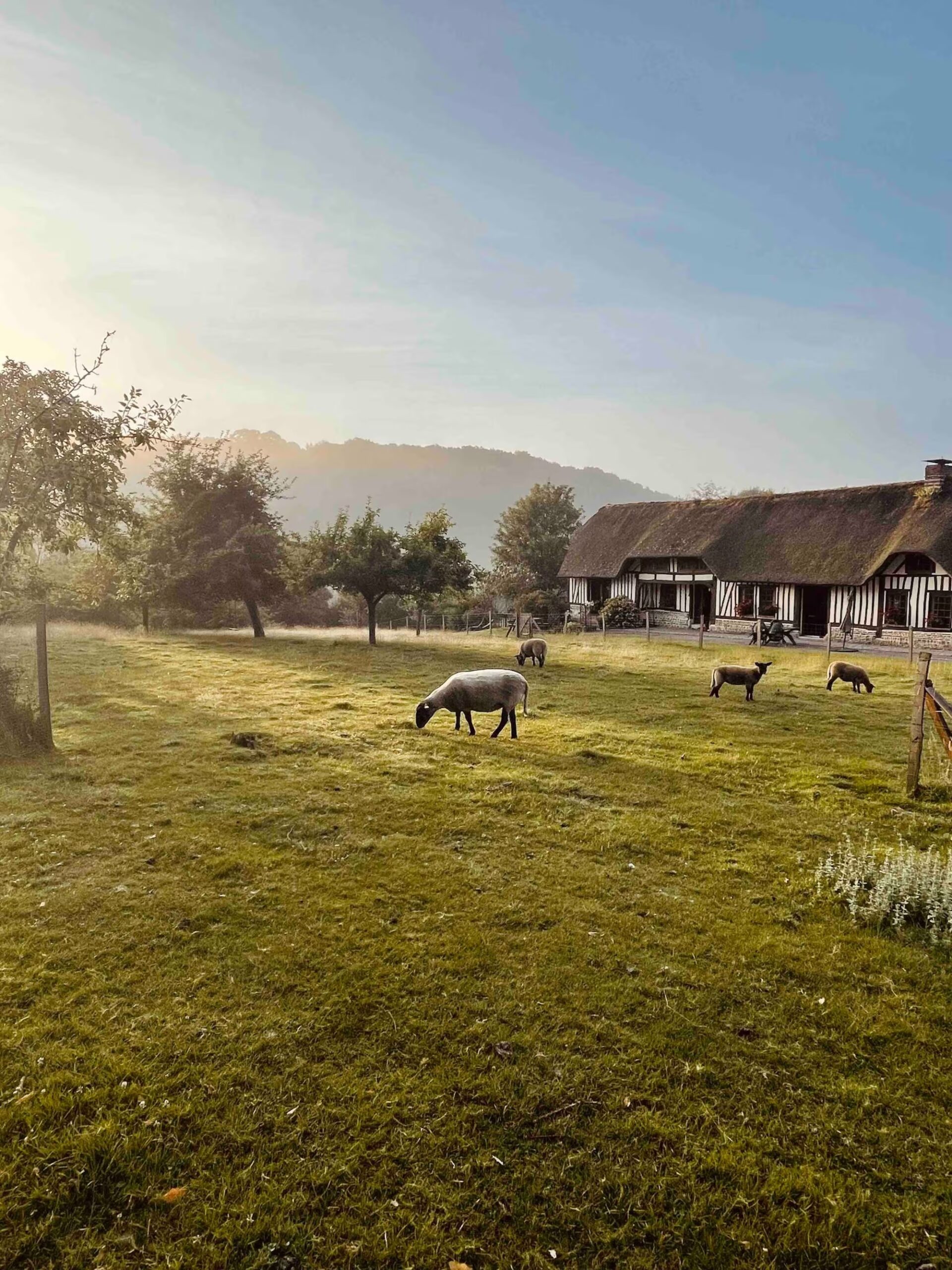 gite-ferme-normandie-proche-paris