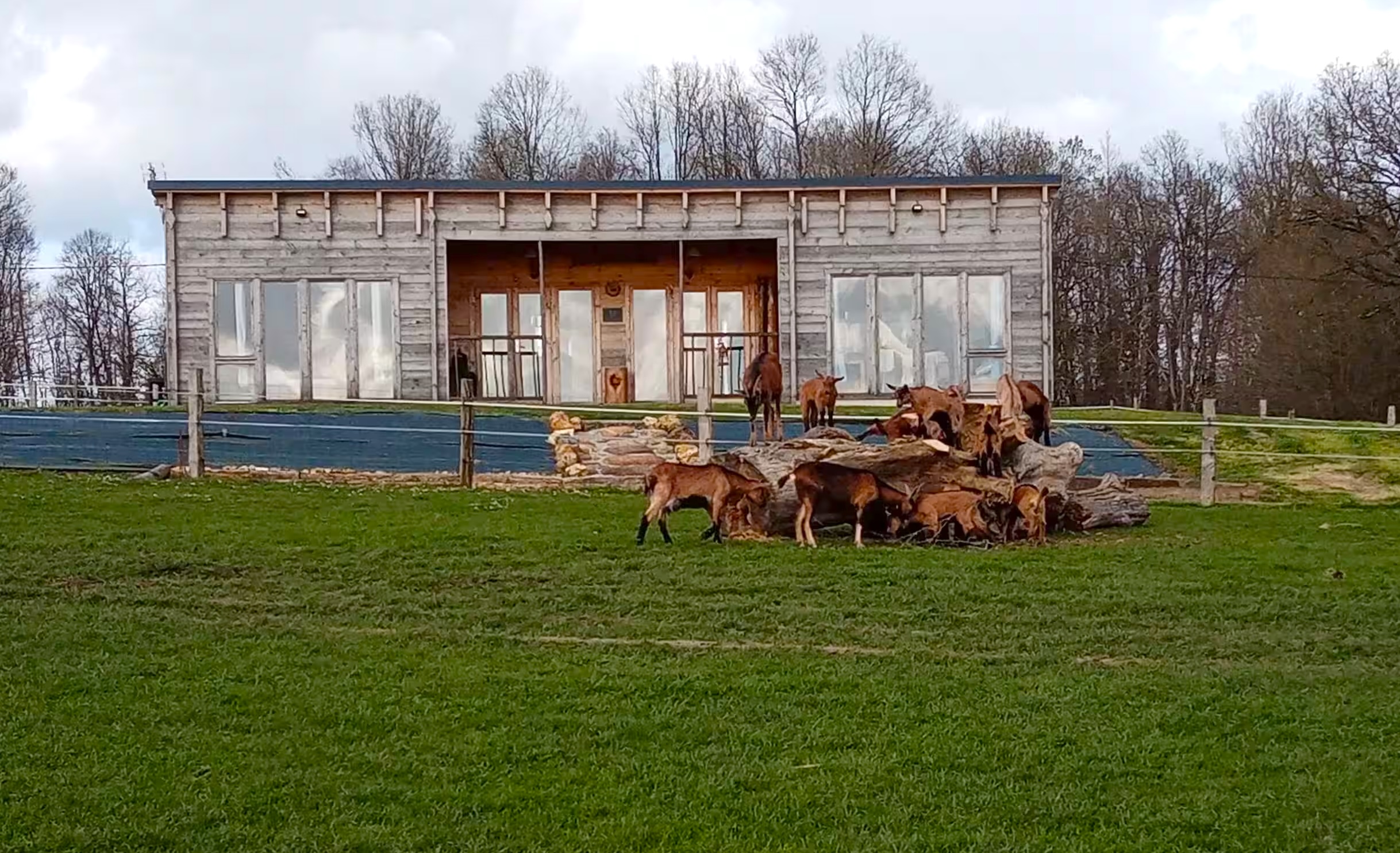 gite-hotel-ferme-animaux-normandie
