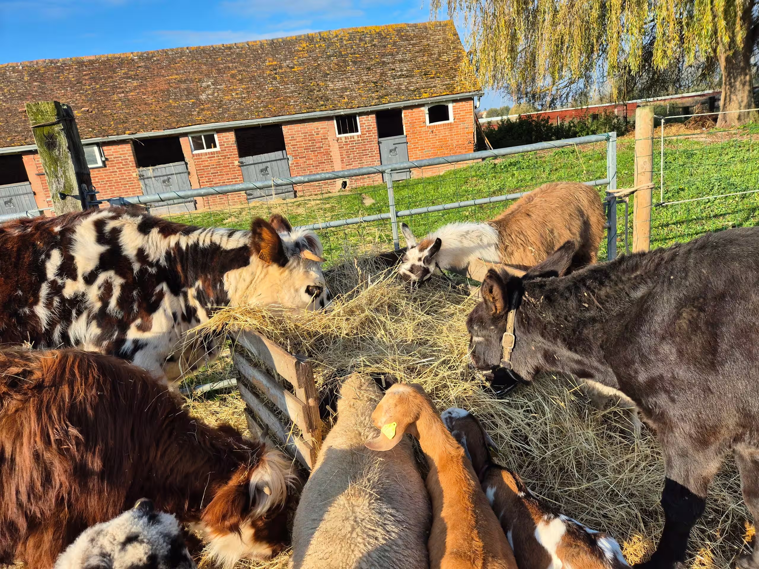 nuit-ferme-animaux-proche-paris-normandie
